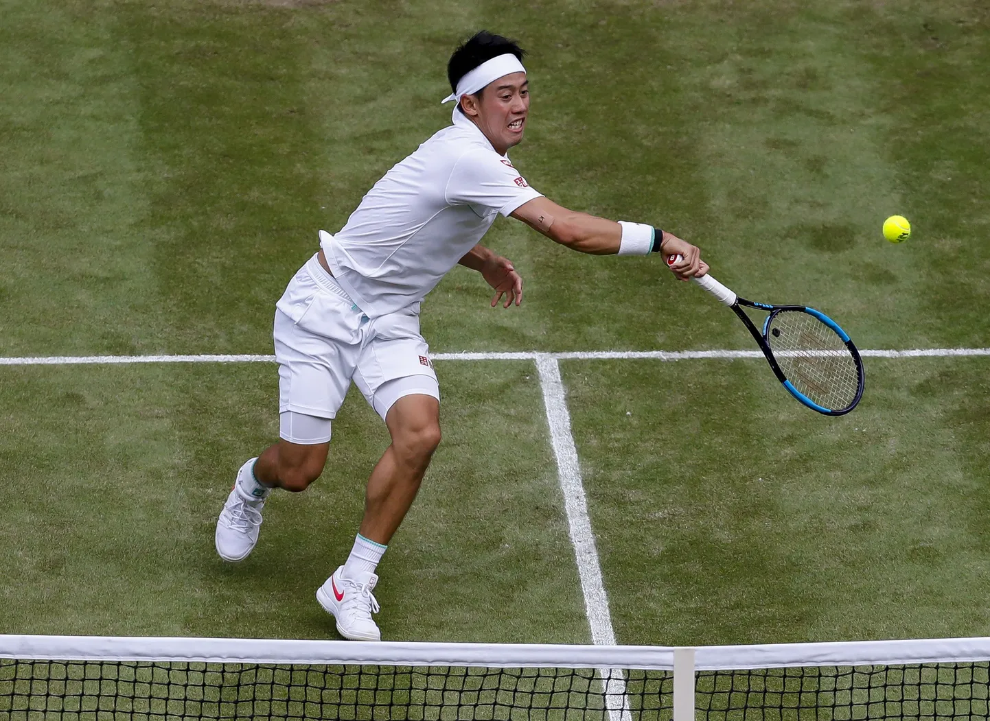 Kei Nishikori.
