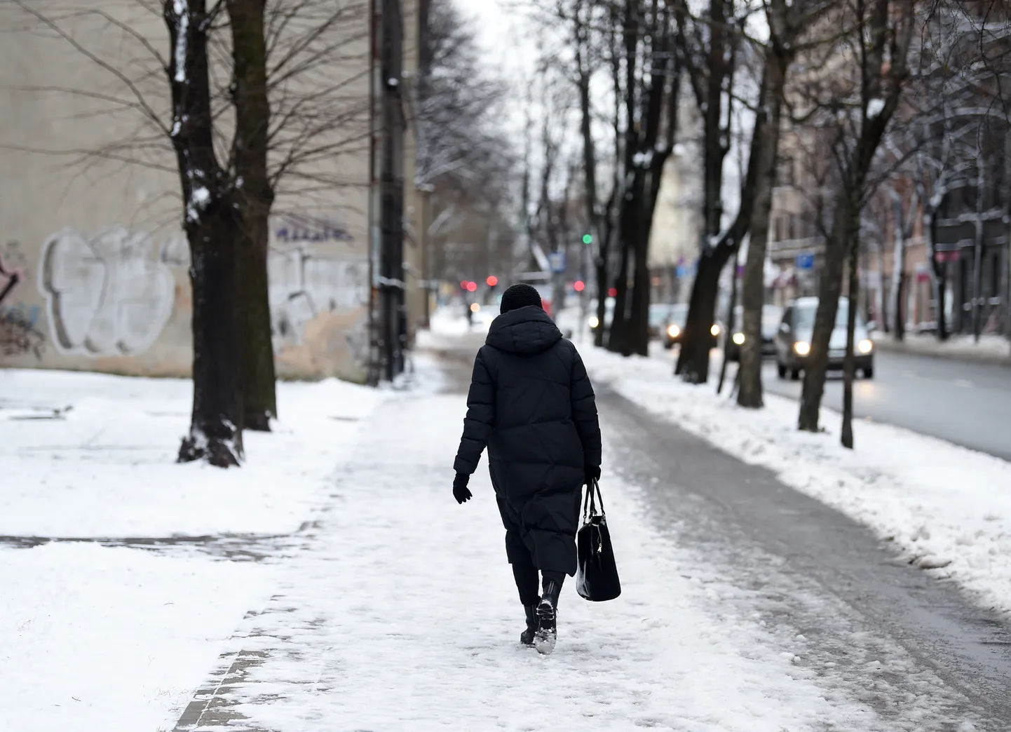 Фото статьи