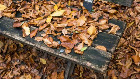 Trešdien Latvijā gaidāms silts laiks