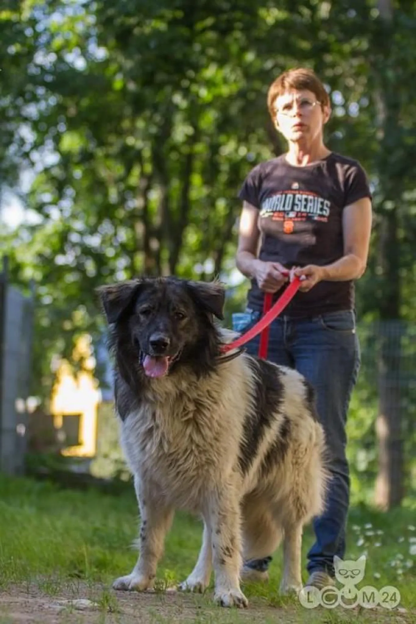 Suur ja sõbralik Lessi.