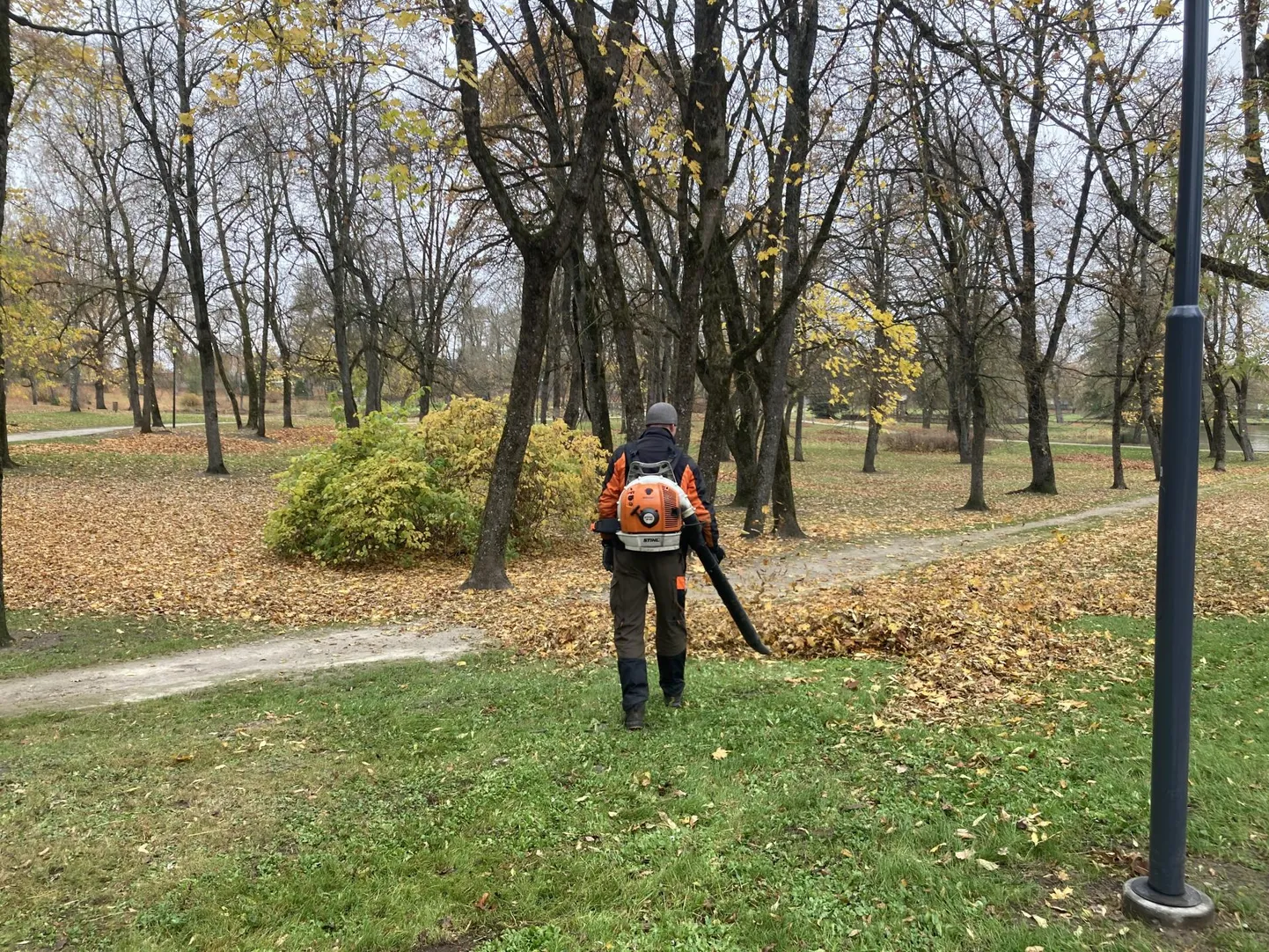 Lehekoristajad nentisid, et nende töö justkui ei saagi sügisel otsa, aga olid rõõmsad, et tegu on väga mõnusa tööga, mille käigus saab heasse vormi.
