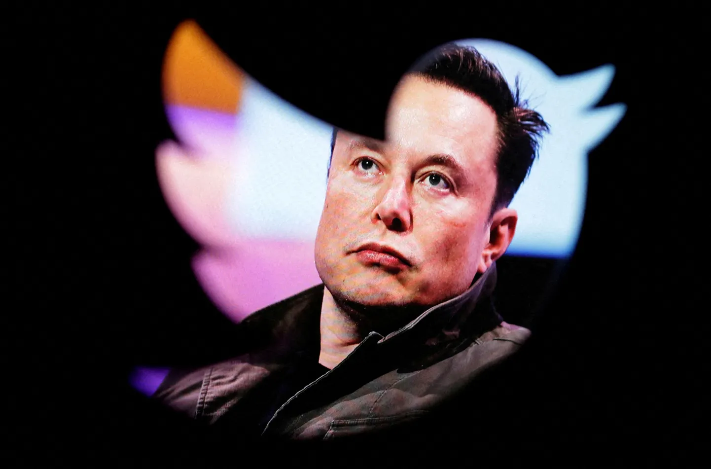 Elon Musk ja Twitteri logo.