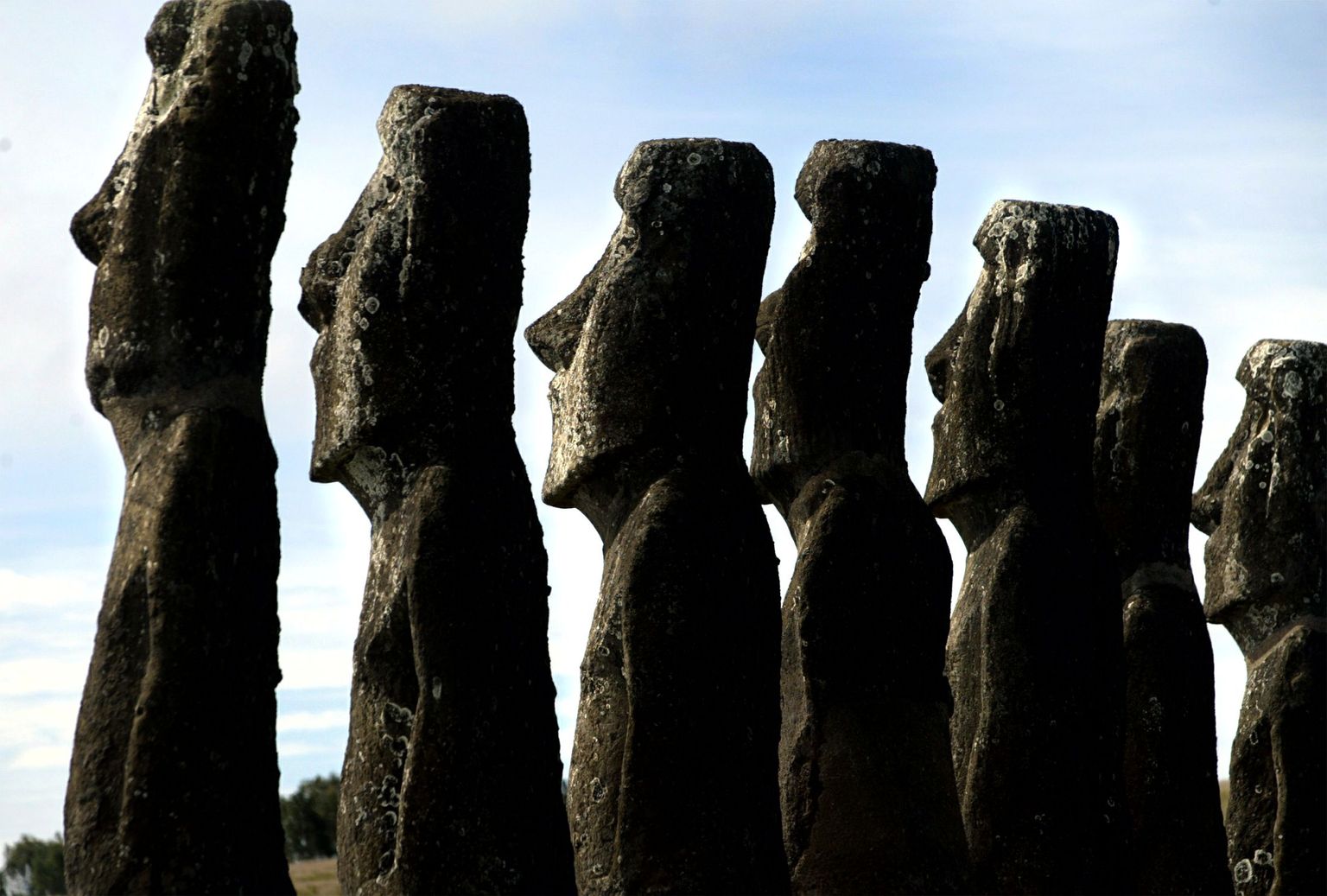 Lihavõttesaare moai kujud