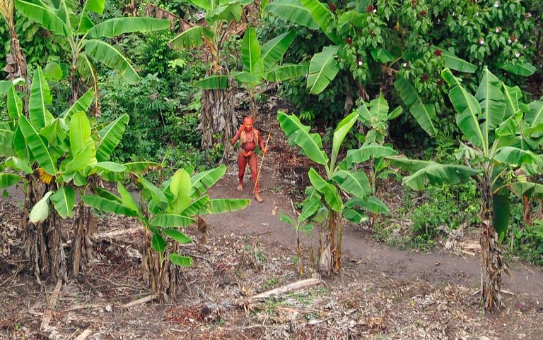 2011. aastast pärit foto Brasiilias Amazonase džunglis elavast põliselanikust