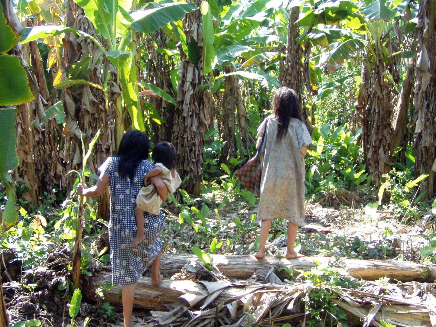 Pildil on sügaval Boliivia Amasoonias elava Tsimane põlisrahvaste hõimu liikmed. Hiljutise uuringu käigus analüüsisid teadlased 5000 hõimuliikme kehatemperatuuri andmeid.