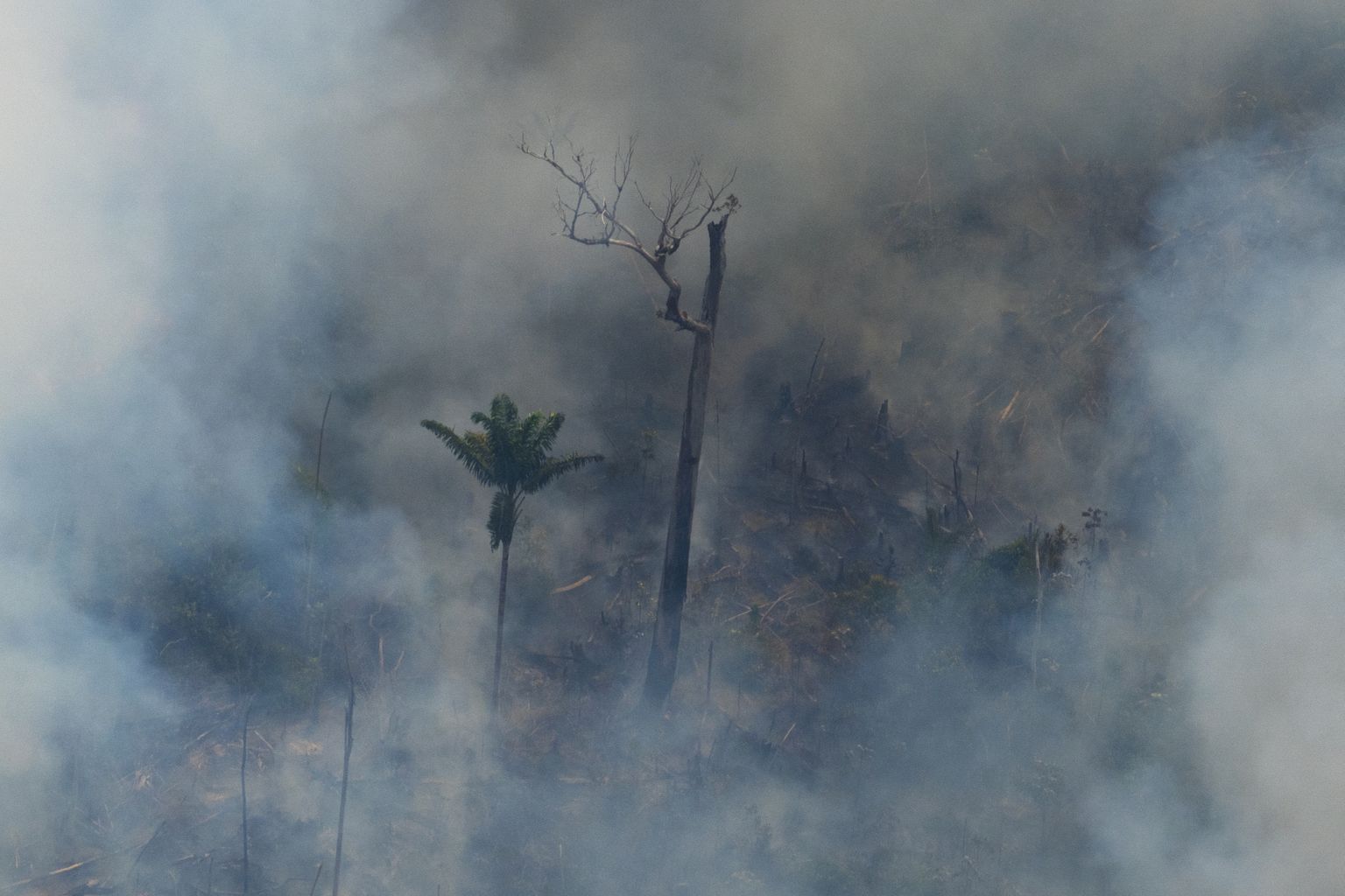 Amazonase vihmametsa põleng Brasiilias Porto Velho lähistel. 23. august 2019.
