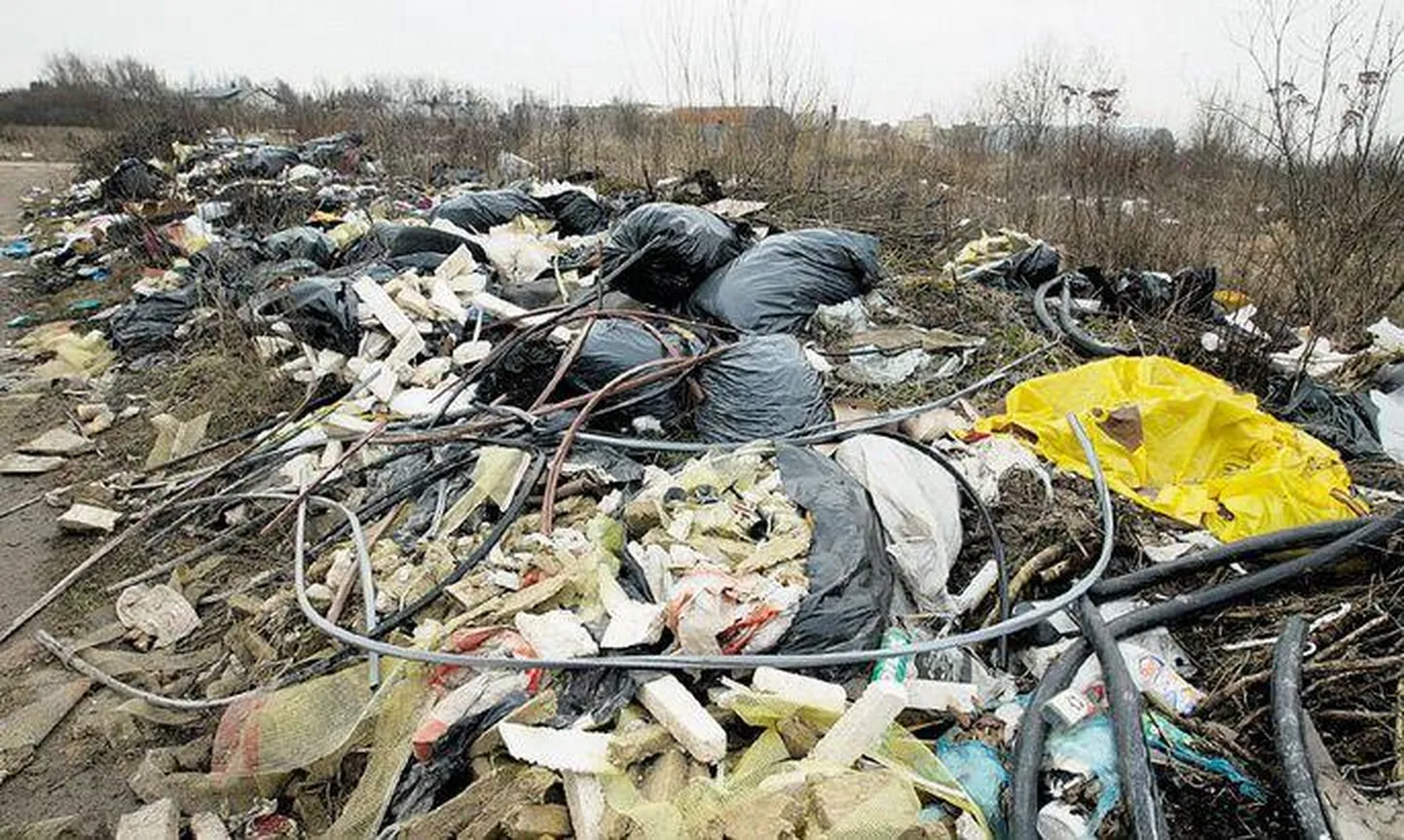 Article photo