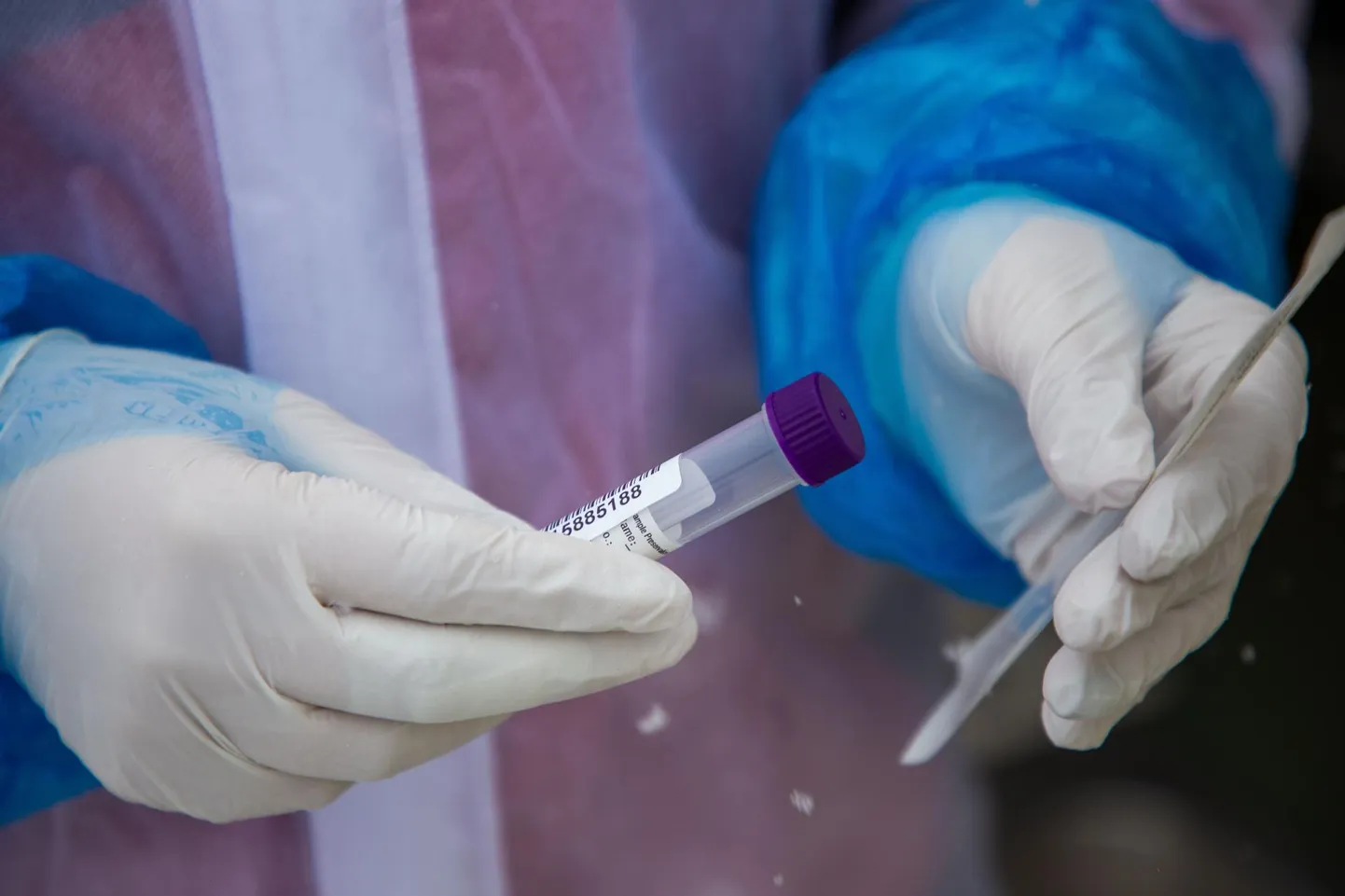 Viimase ööpäeva jooksul analüüsiti 6456 testitulemust, millest 545 osutus positiivseks.