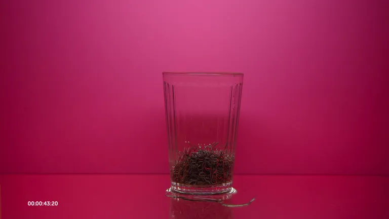 Krišs Salmanis, “Pilns mērs” (2022). Video, 60 min.