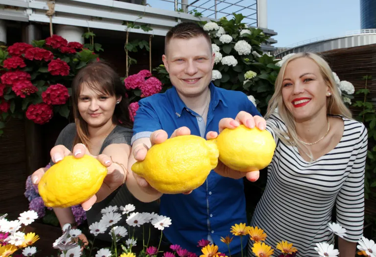 Пятилетие портала Limon.ee / ФОТО: