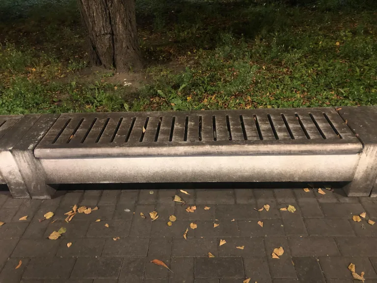 Скамейки в парке Таммсааре