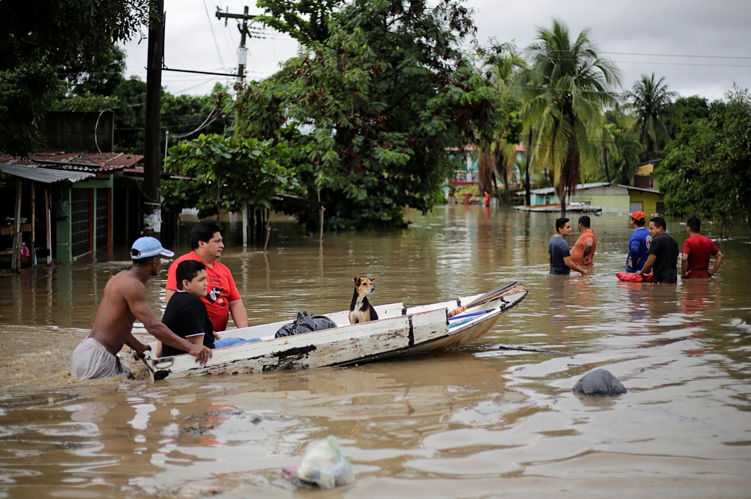 Eta põhjustatud tulvadest üle ujutatud tänavad La Limas Hondurases. FOTO: Jorge Cabrera/Reuters/Scanpix
