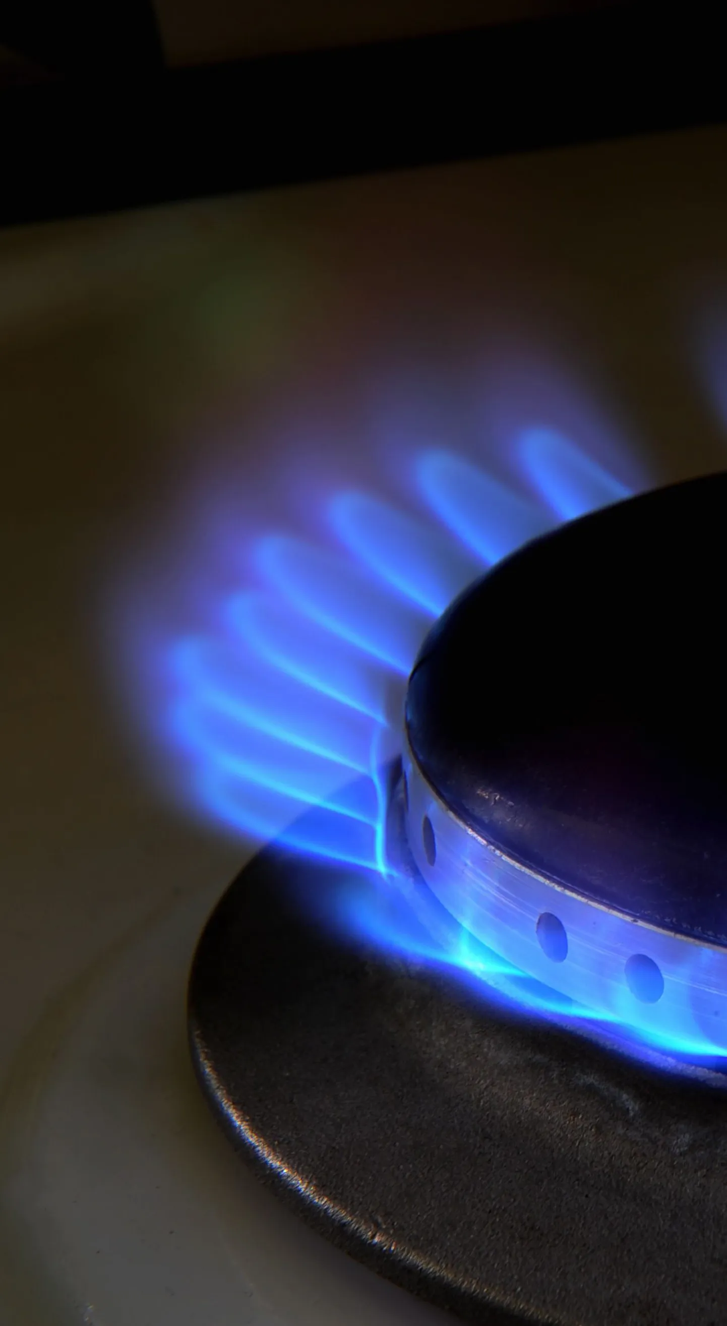 Потребление газа является неотъемлемой частью быта жителей Эстонии.