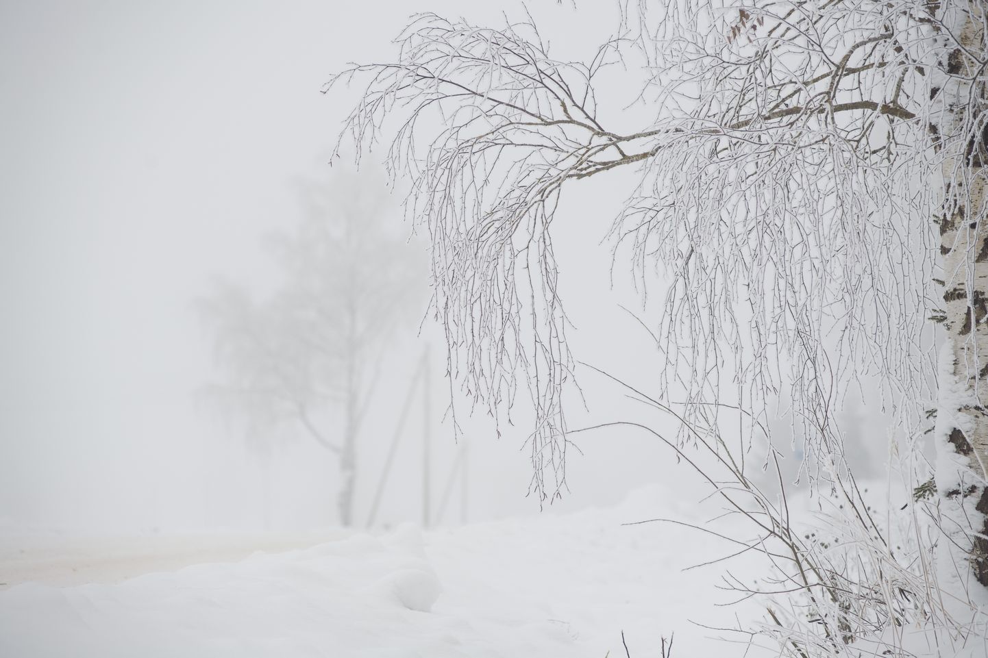 Foto: Ziemas sals Latvijas ārēs