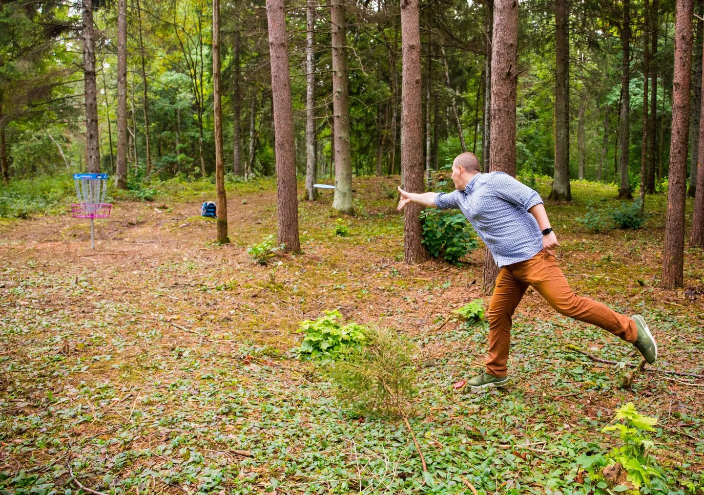 Pilt on tehtud Rakvere kettagolfirajal.
