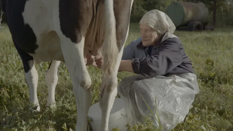 Mirjam Matiiseni uus lühidokumentaalfilm «Lumi ja Leenu»