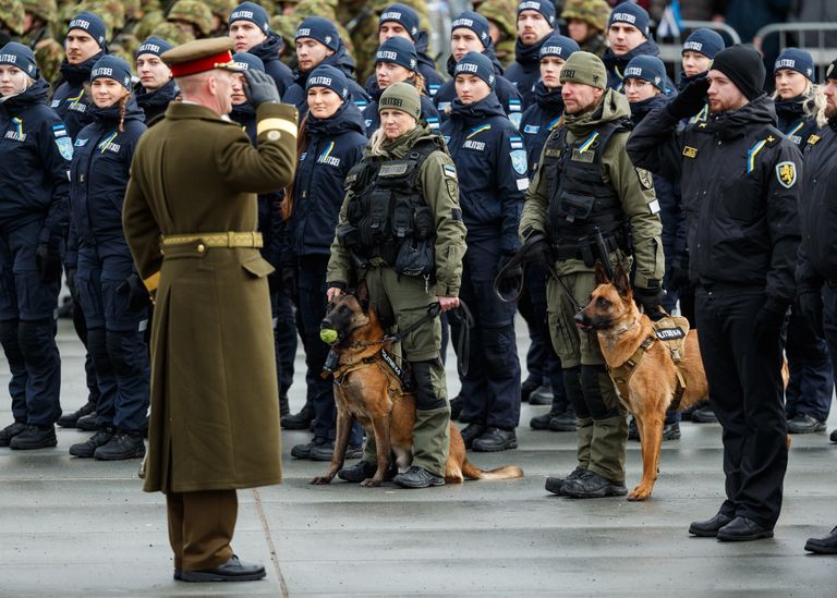 Vabariigi aastapäevaparaadil osalesid ka politseikoerad.