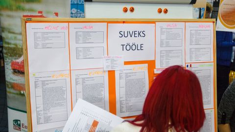 Record interest in summer jobs in Estonia as applicants flood popular roles