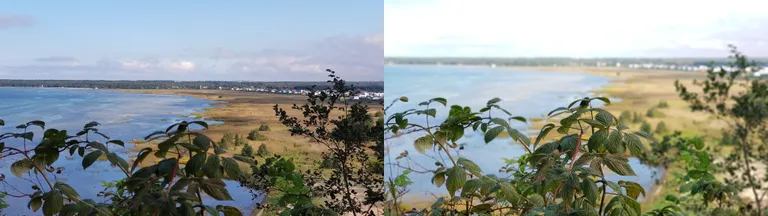 Sama koht - kaks tervustamist