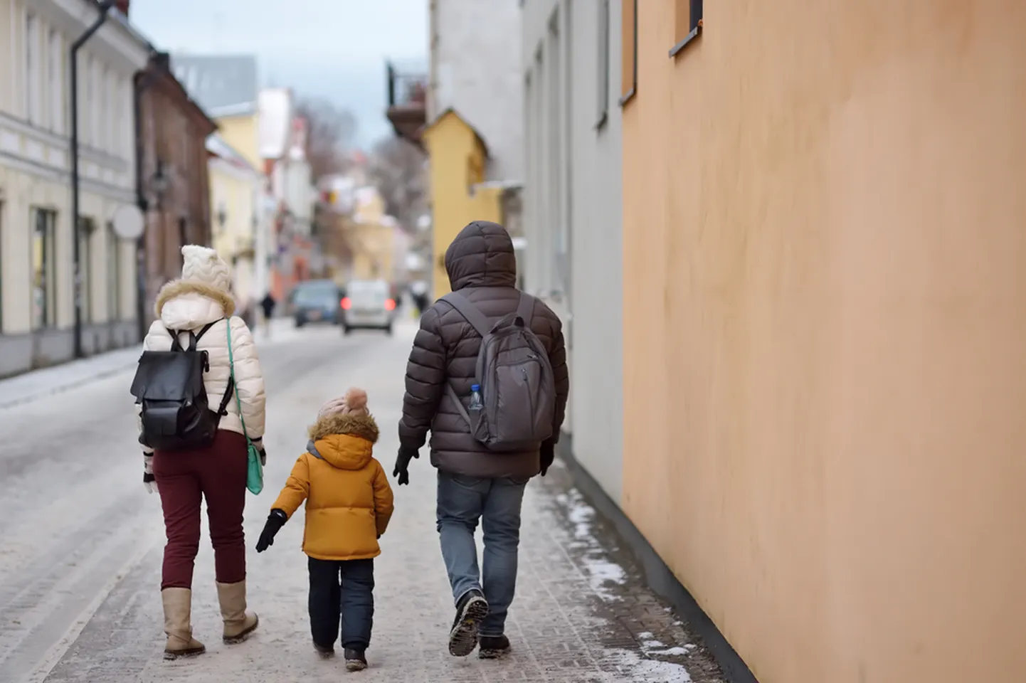 Eesti elanike teine sagedam emakeel on vene keel.