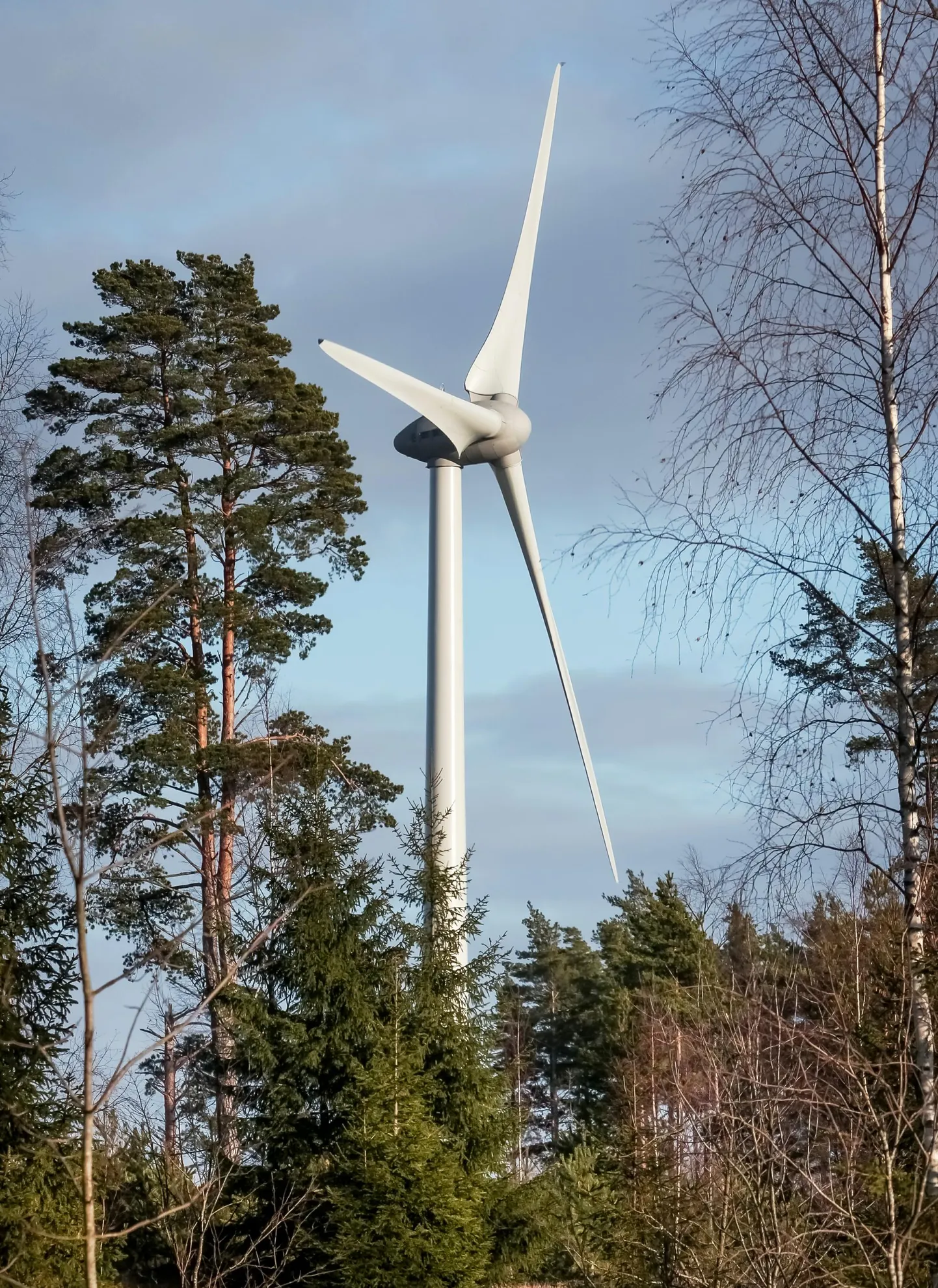 Kamali ja Tõlla küla aladele kerkib kokku üheksa tuugenit.