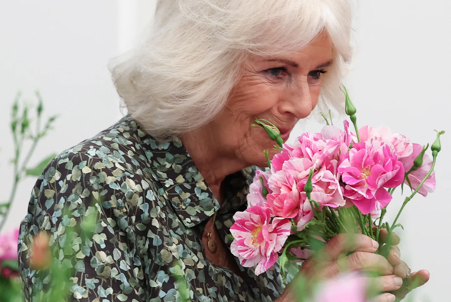 Ühendkuningriigi kuninganna Camilla.