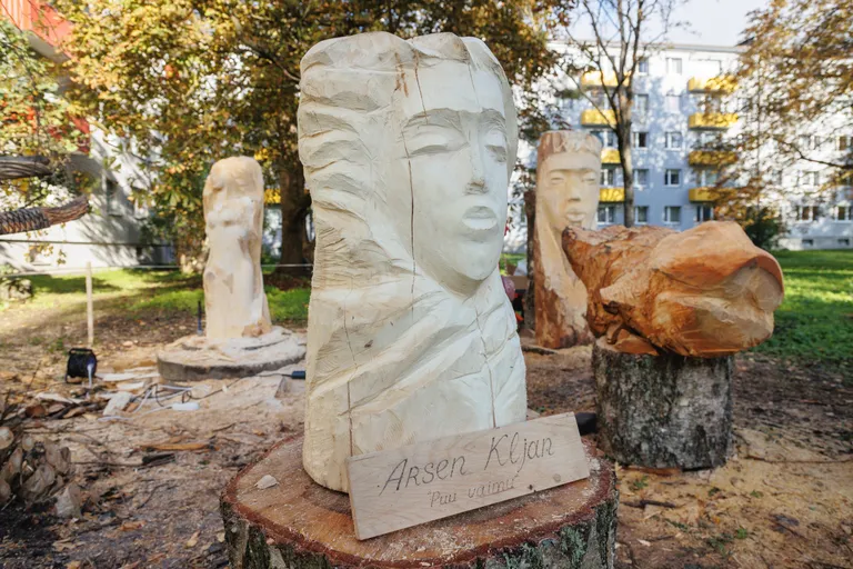 Скульптуры из упавшего дерева в Мустамяэ