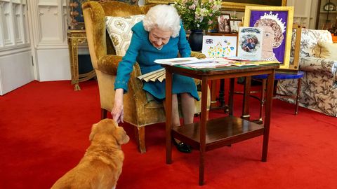 Kuninganna Elizabeth aretas ühe koeratõu: nende paaritamiseks on meil spetsiaalne telliskivi