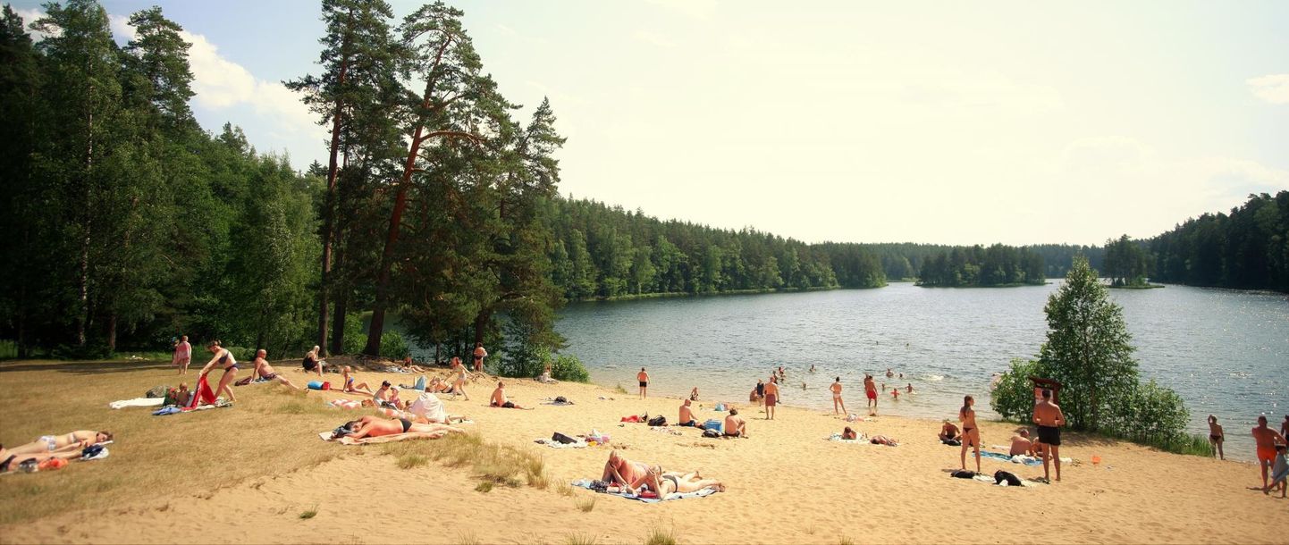 Alates 2016. aastast on Viitna Pikkjärves lubatud ujuda vaid põhjakaldal ehk kohas, kuhu on rajatud liivane supelrand.