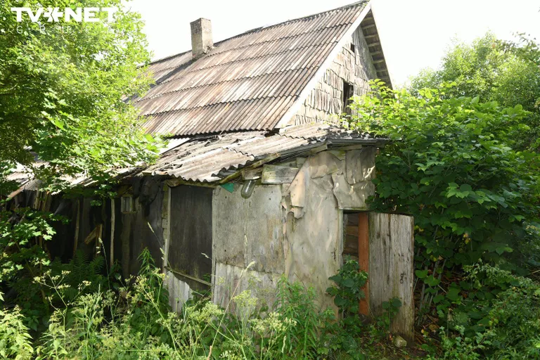 Raksta foto