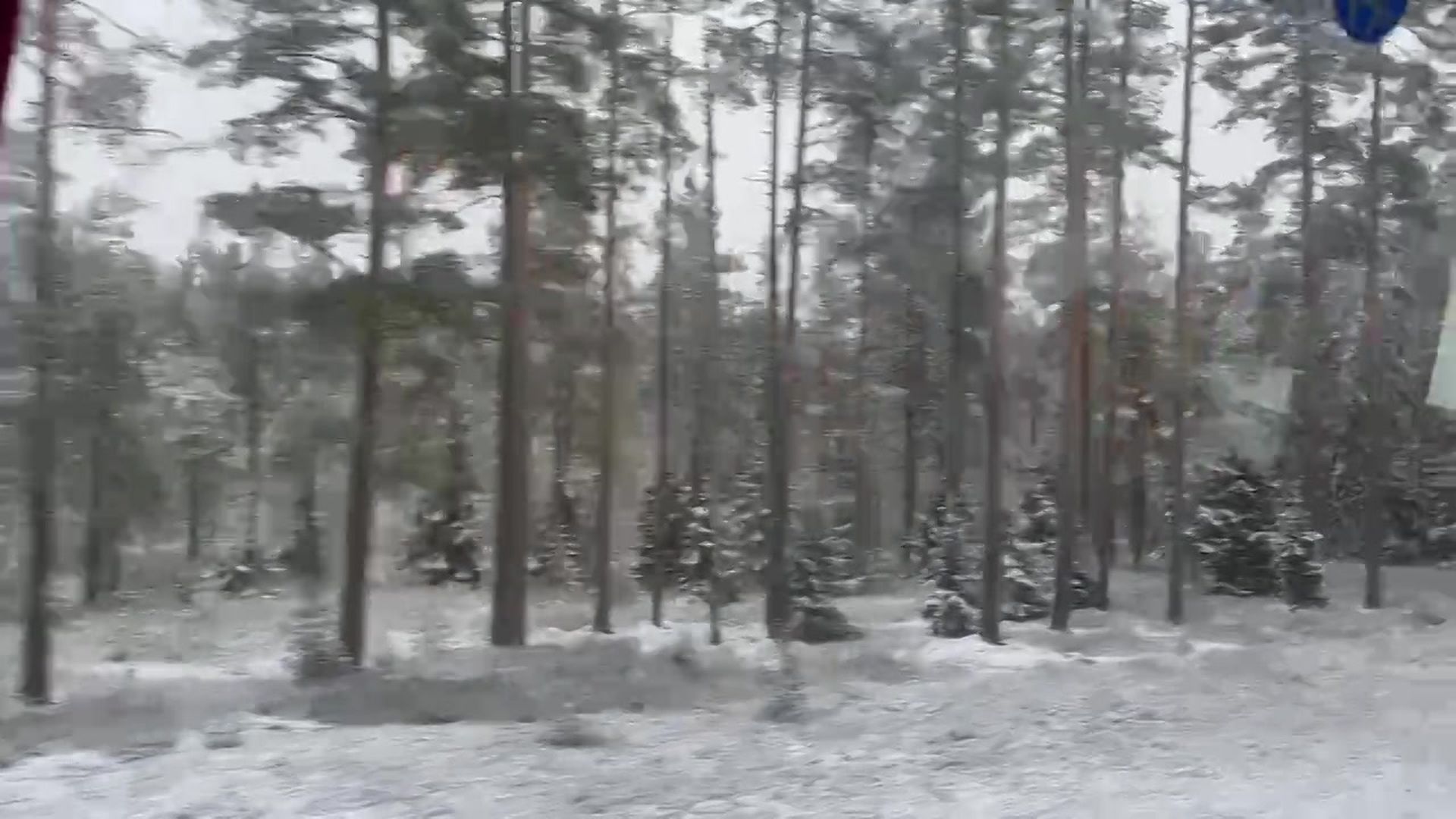 ФОТО И ВИДЕО ⟩ Эстония проснулась вся в снегу