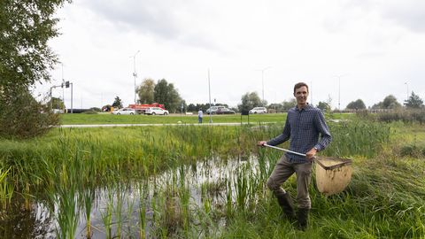 TARK TARTU ⟩ Annelinna konnalomp kihab «draakoneist ja lutikaist», puruvanadest, kullestest ning muust mudrust rääkimata