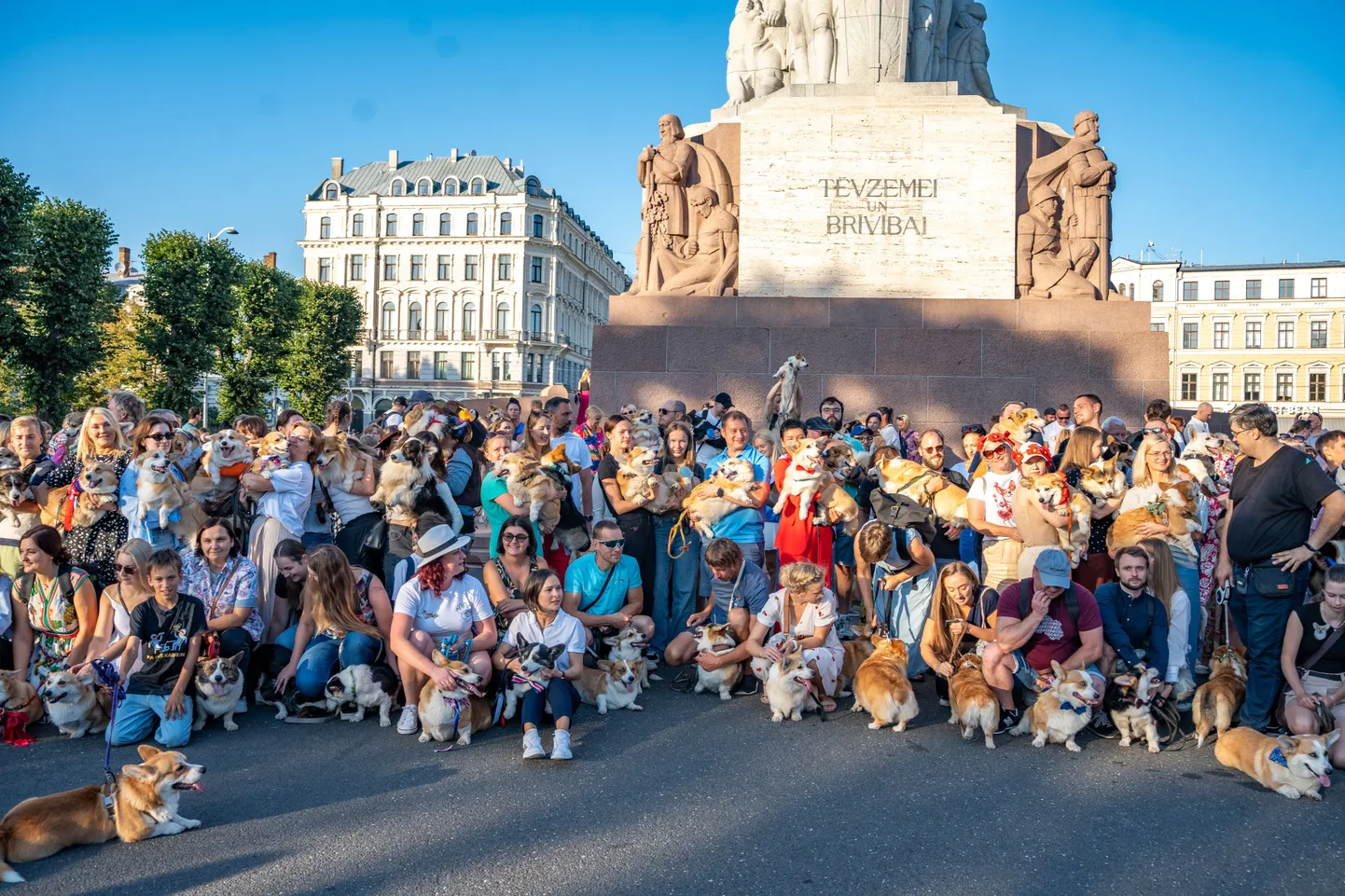 Raksta foto
