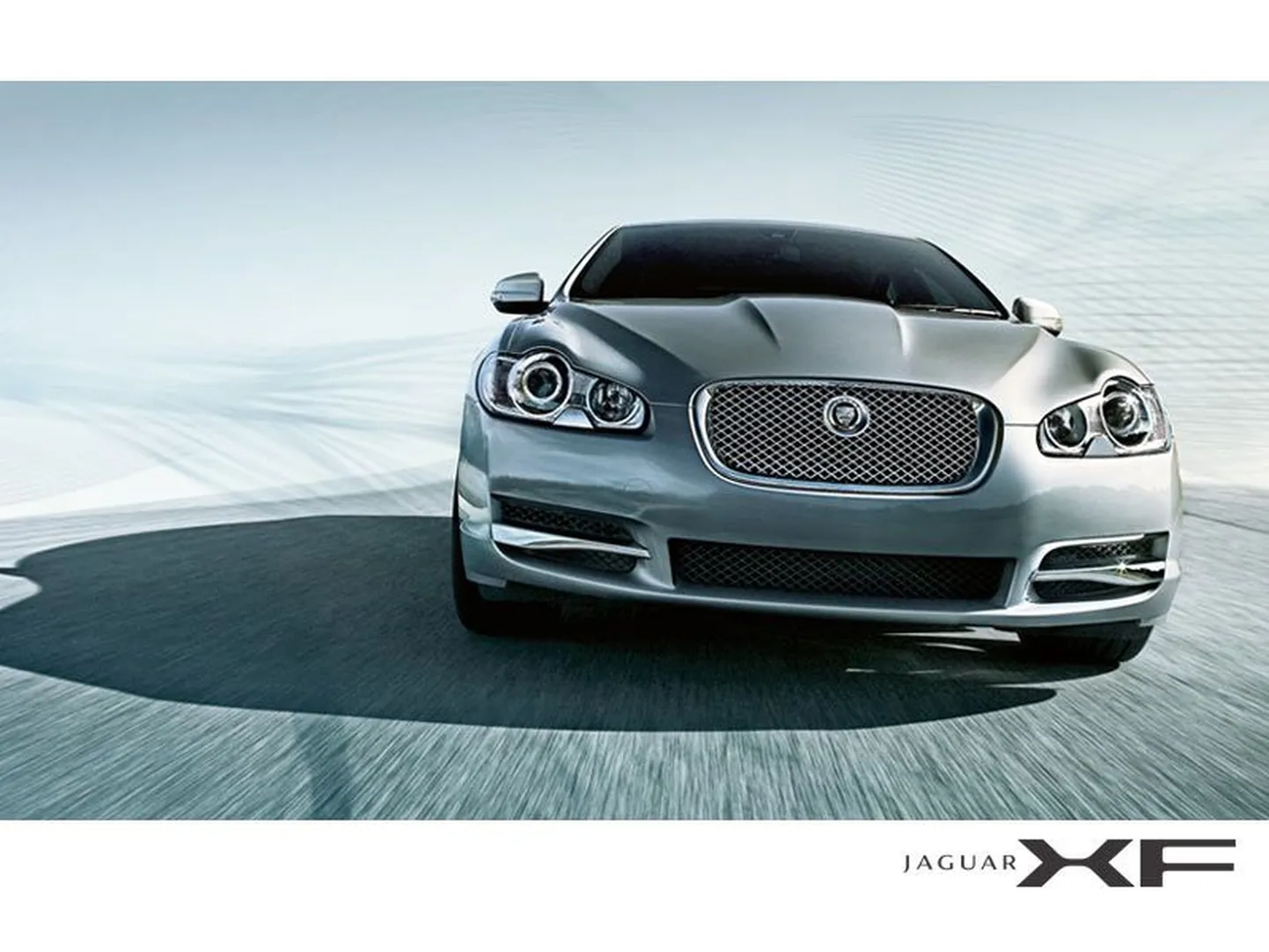 XF