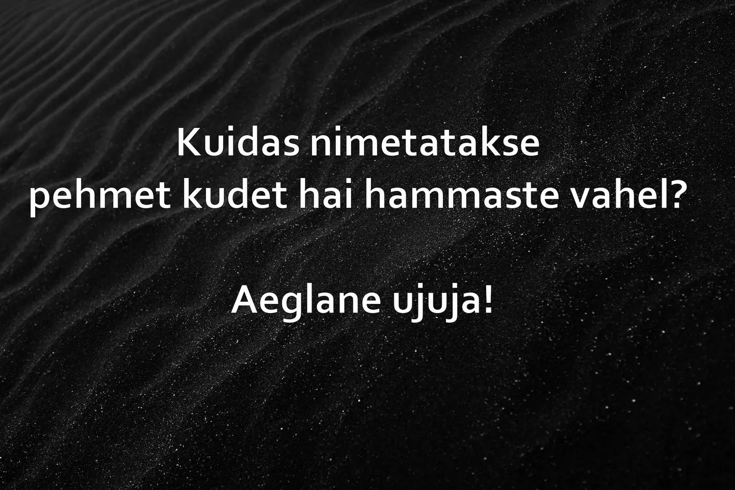 Artikli foto