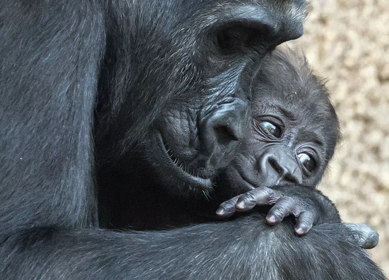 JENS MEYER/AP/Scanpix