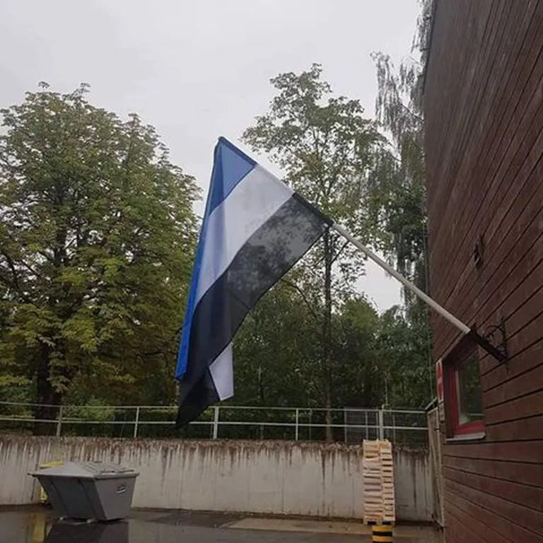 Maxima lipp.