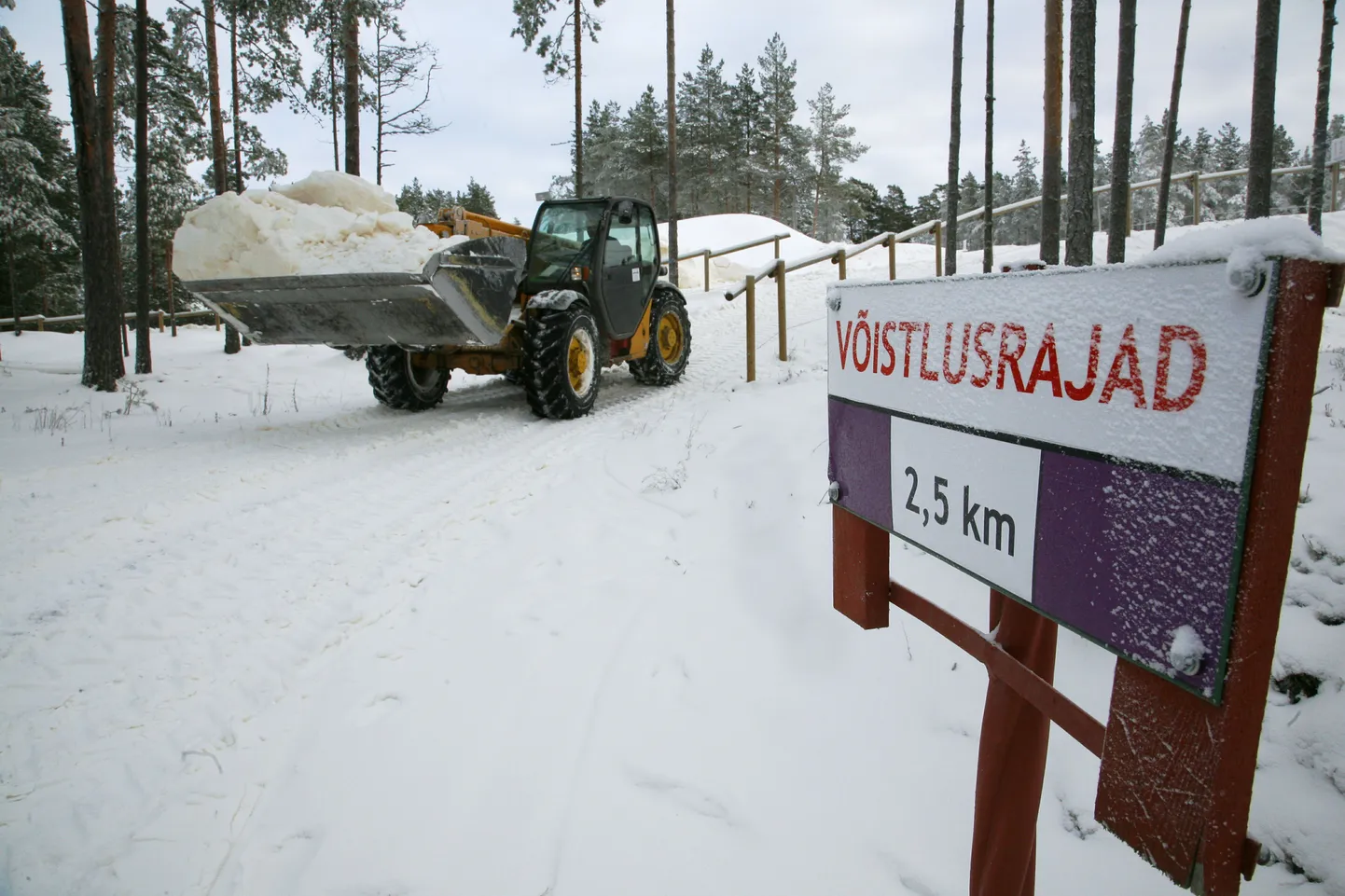 Kolmapäeval Jõulumäel valmis saanud 700 meetrit pikast suusaringist sai eile õhtuks 2,2 km pikkune suusarada.