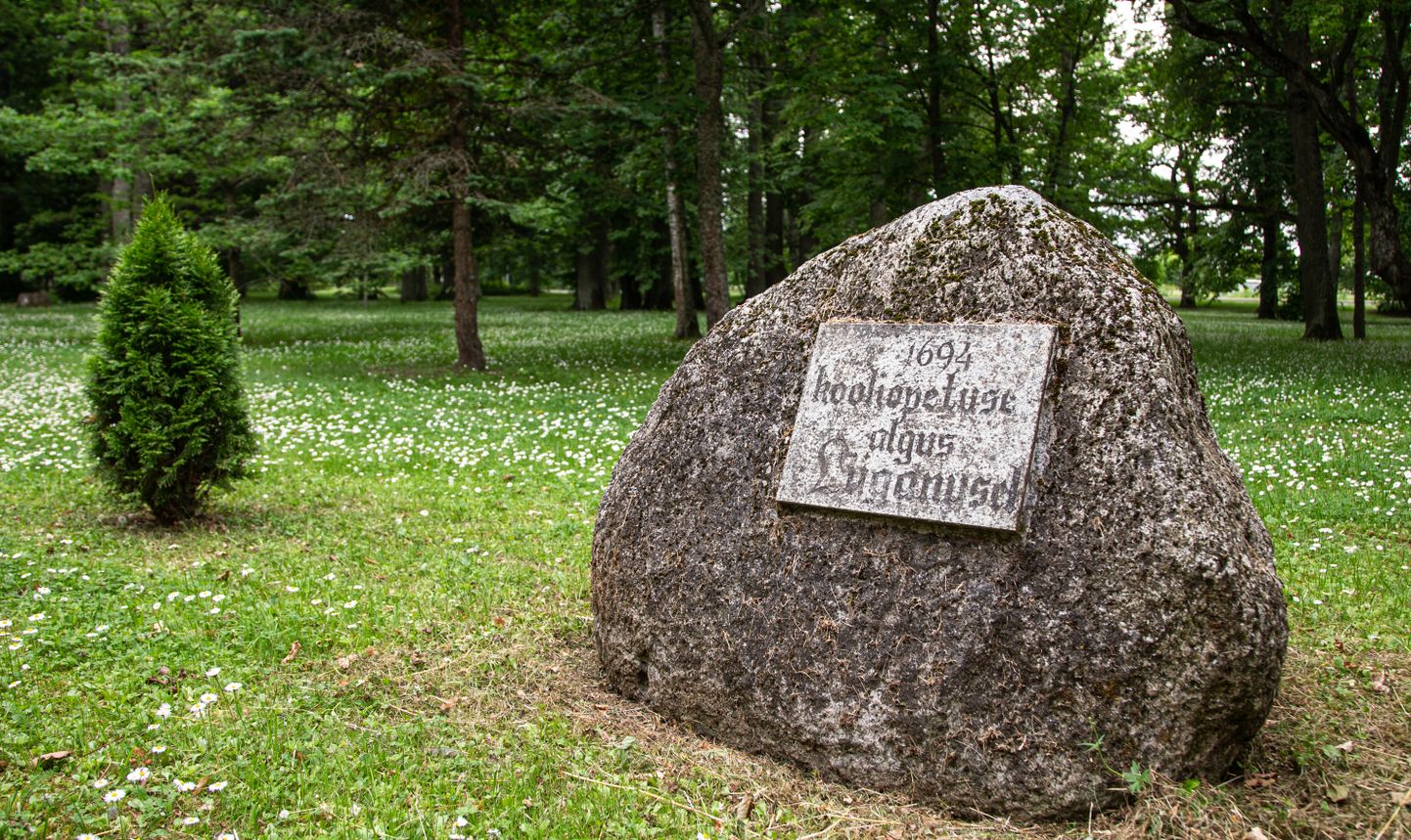 Расположенный в школьном парке памятный камень сообщает, что школьное образование давали в Люганузе еще с конца 17-го века. Волость планировала прервать эту преемственность, однако государство готово взять школу под свое крыло.