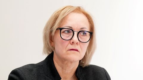 Salmonelozes skartajos bērnudārzos atklātas arī citas saslimšanas