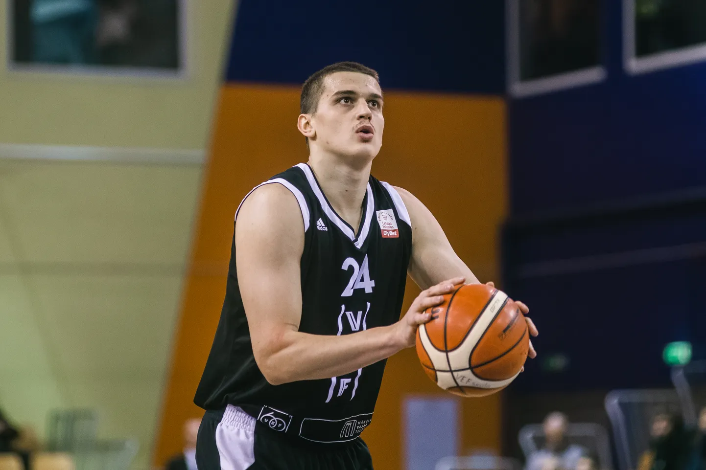 Andrejs Gražulis