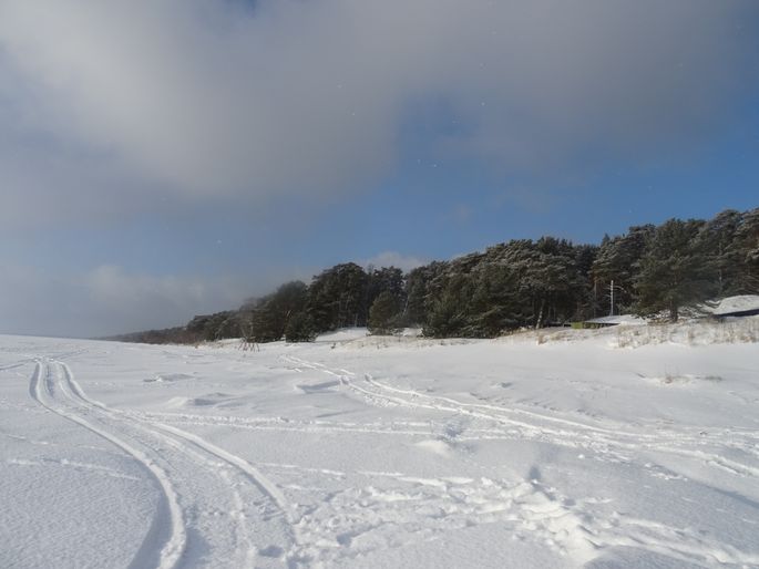 С середины декабря можно выходить пешком на лед Чудского озера