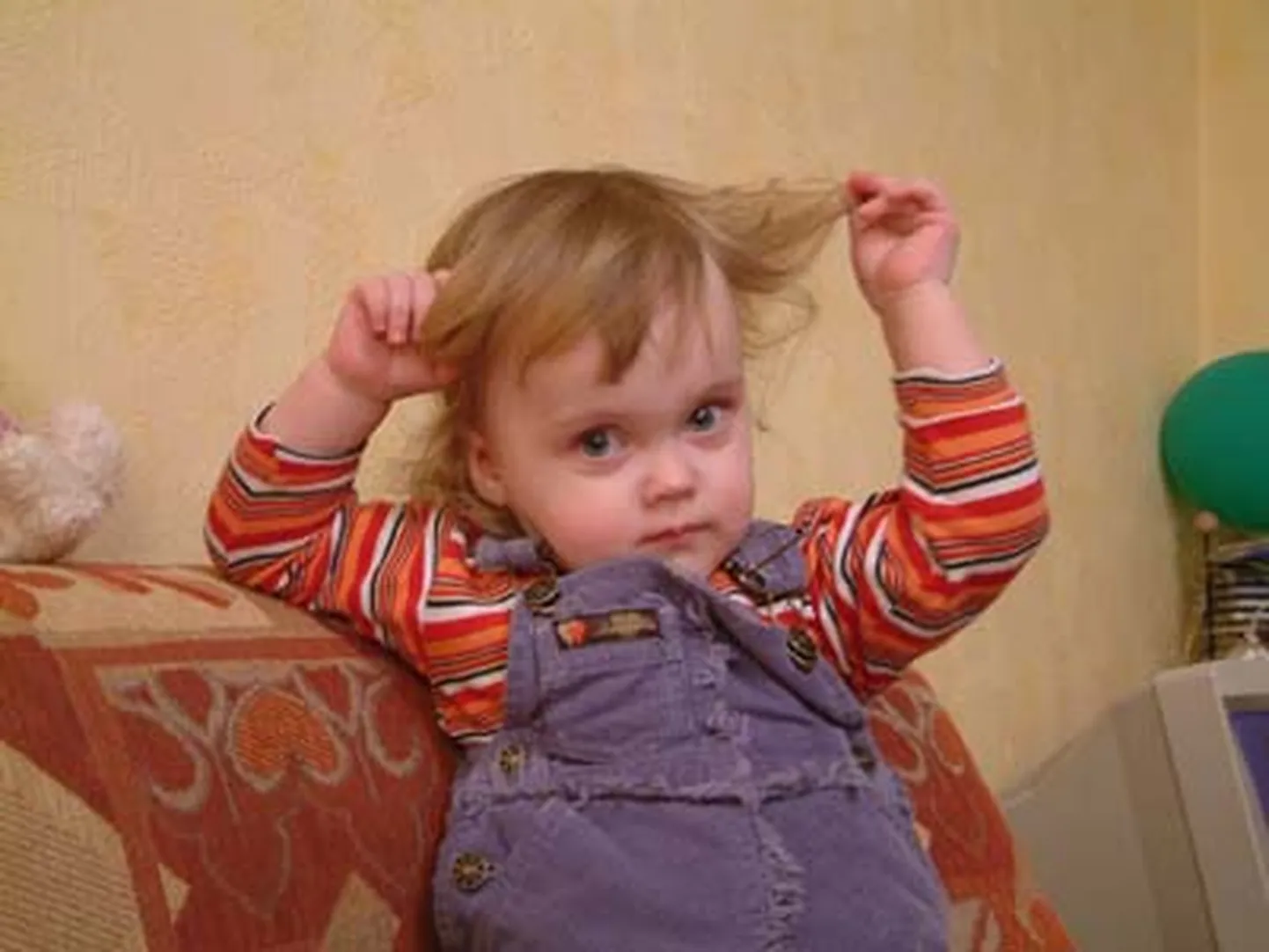 Raksta foto