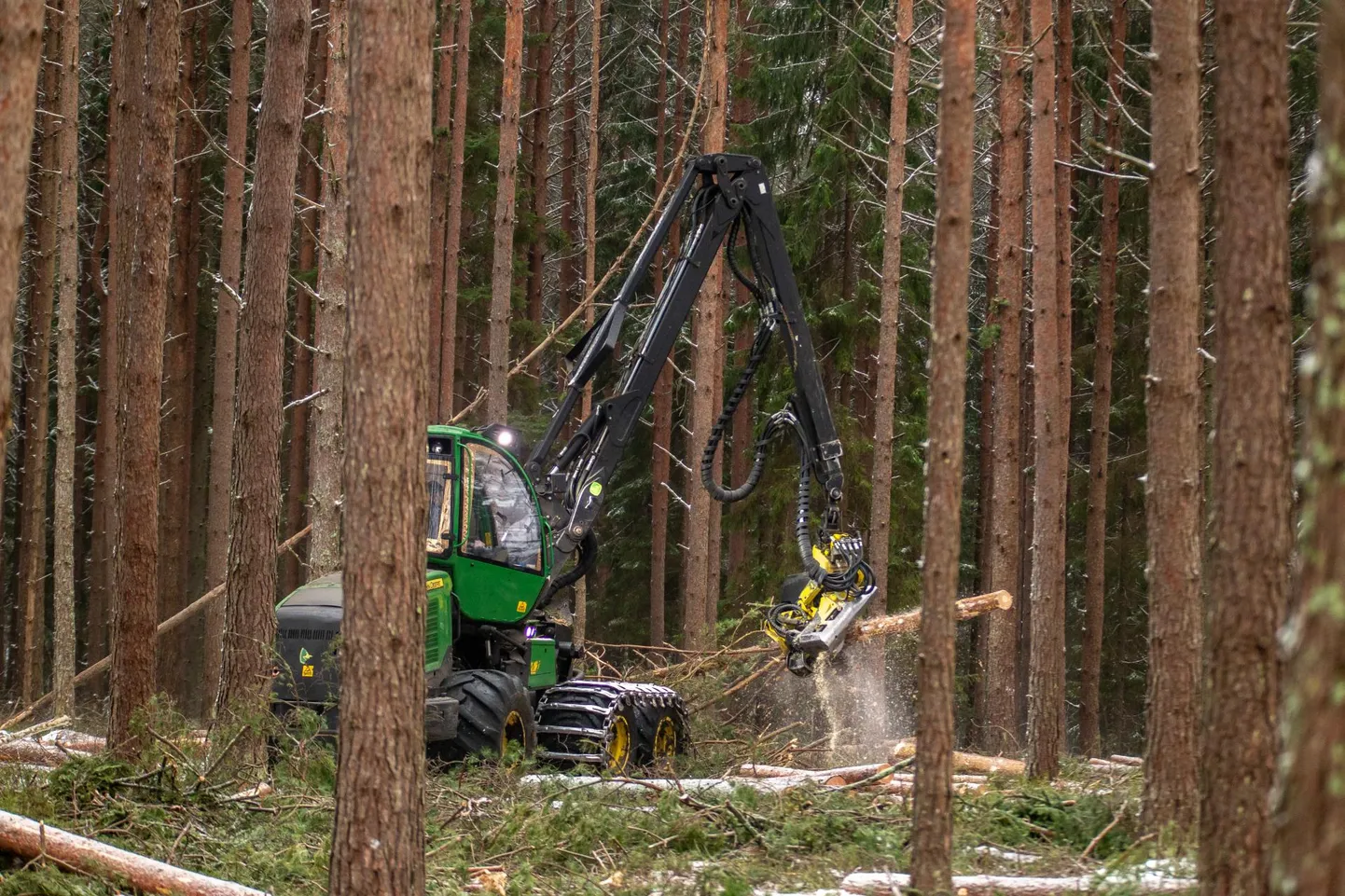 Harvester tööd tegemas. Looduskaitsjate sõnul jõuavad tänaste toetusskeemide juures ahju ka korralikud palgid, mitte ainult oksad ja võsa.