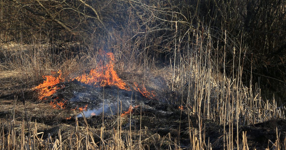 Päästjad materdasid tule surnuks