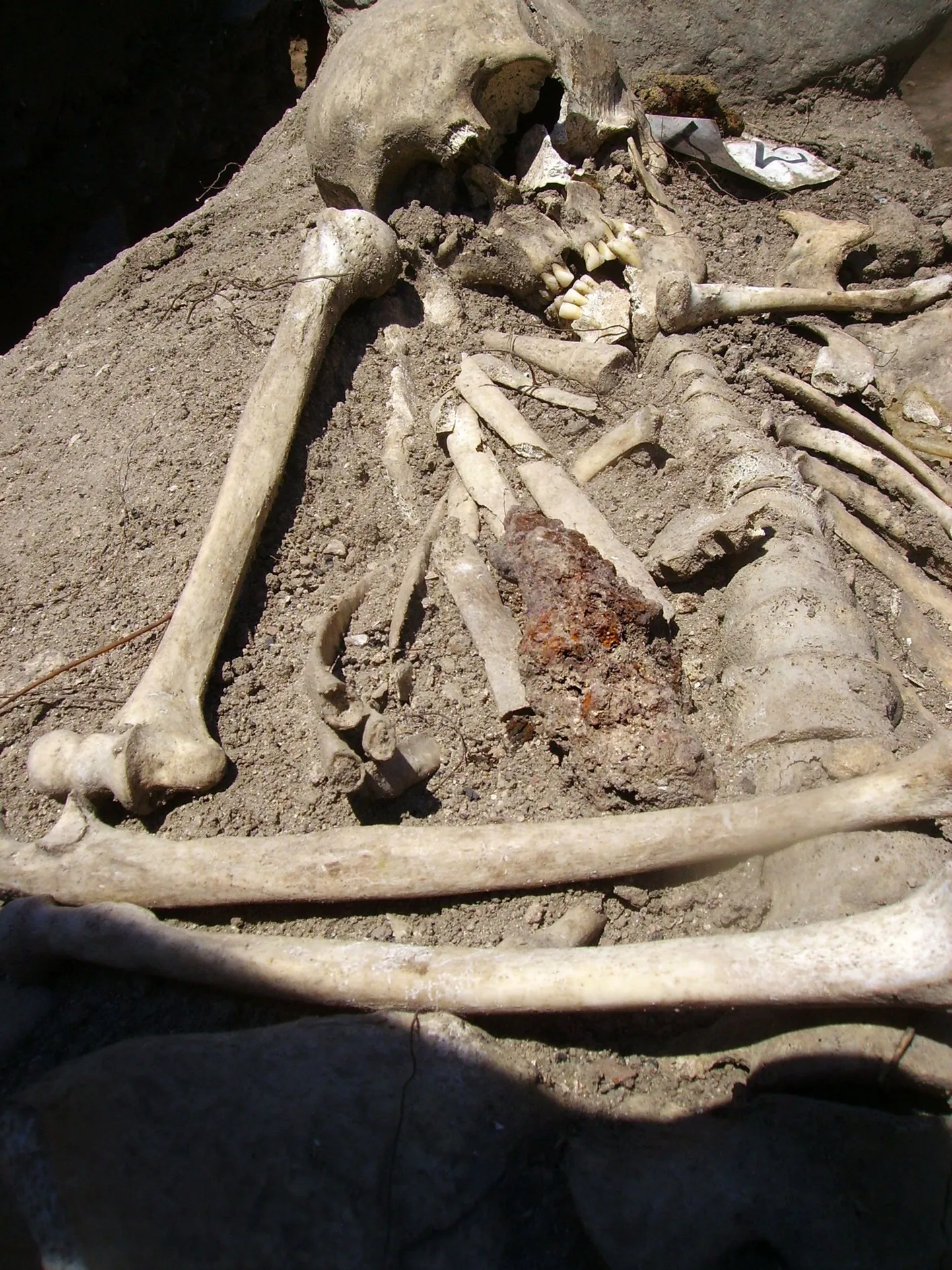 Euroopa aladel toimus 4500 aastat tagasi geneetiline muutus