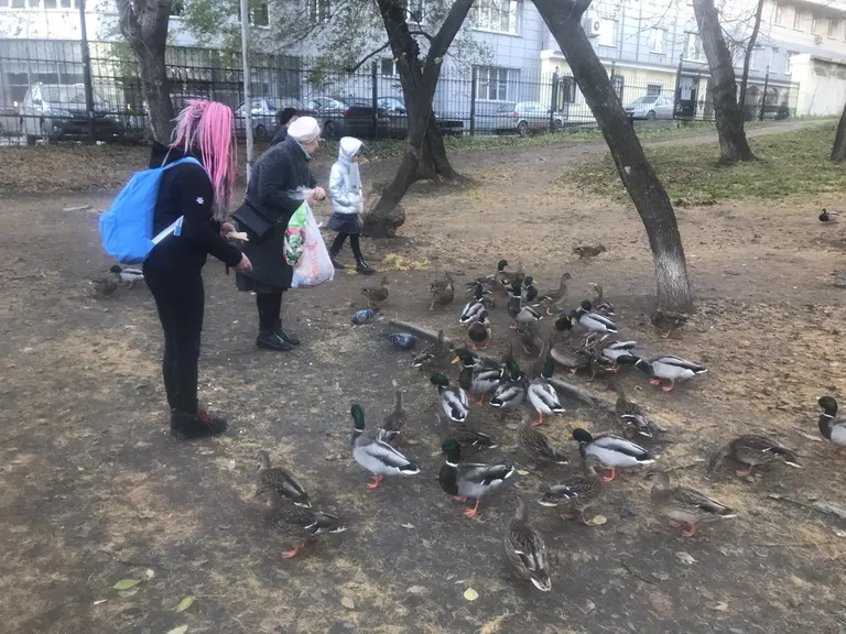 Фото статьи