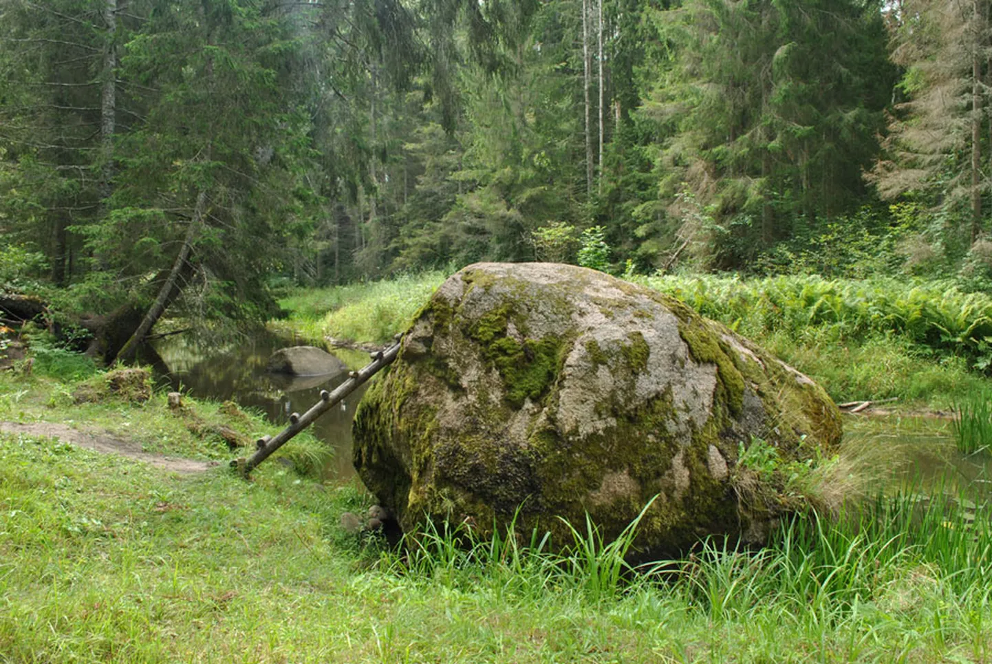 Spuņņu akmens
