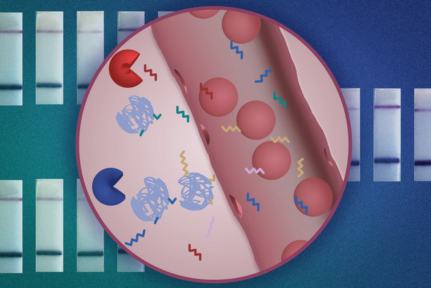 MIT-i insenerid on välja töötanud uue nanoosakeste anduri, mis võimaldab vähktõbe diagnoosida lihtsa uriinianalüüsi abil. Nanoosakesed (sinised) kannavad DNA vöötkoode (siksakilisi jooni), mida võivad lõhustada kehas vähiga seotud proteaasid (pac-mani kujundid). Pärast lõhustumist saab DNA vöötkoode tuvastada uriiniproovist.