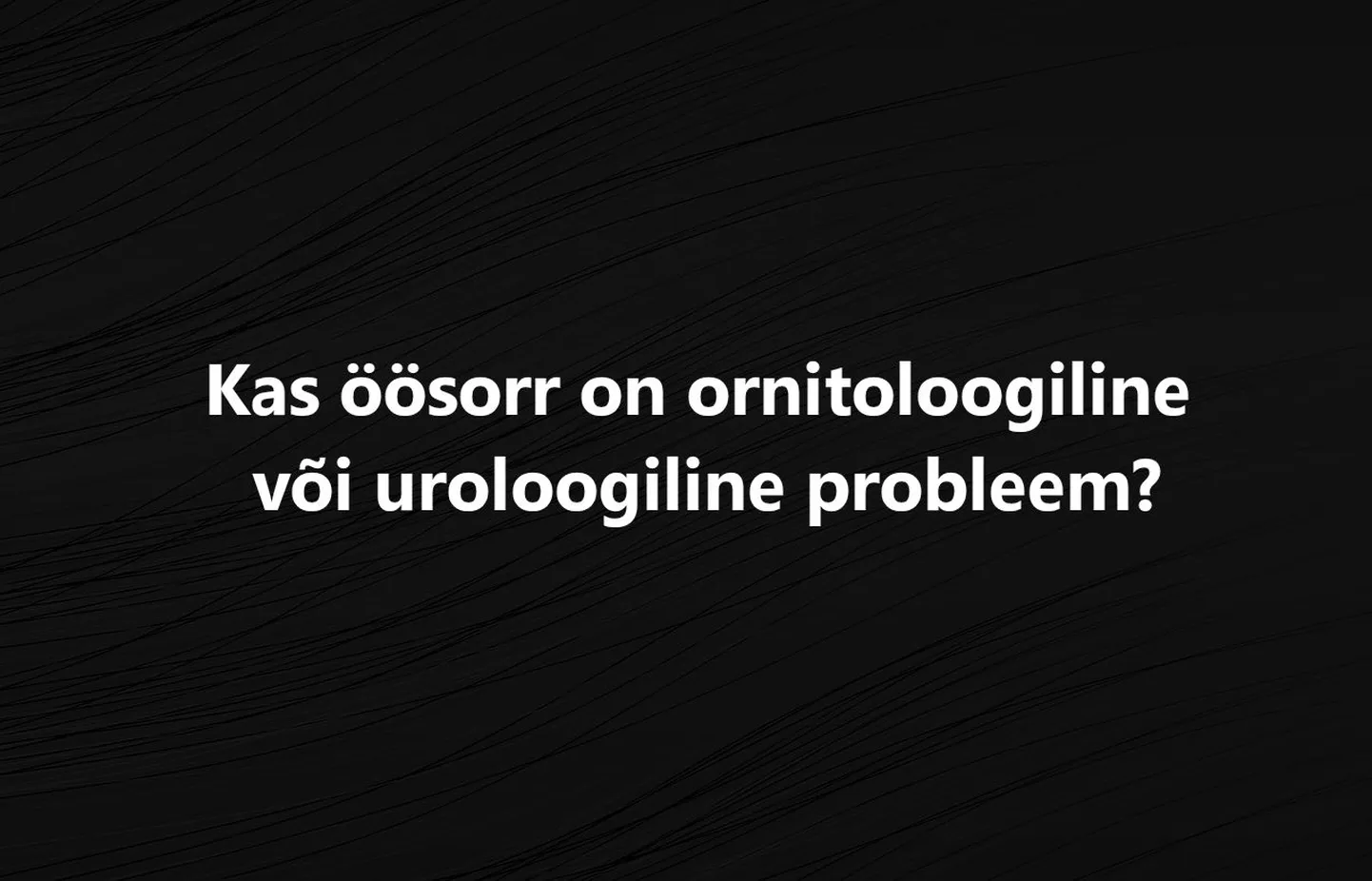 Artikli foto